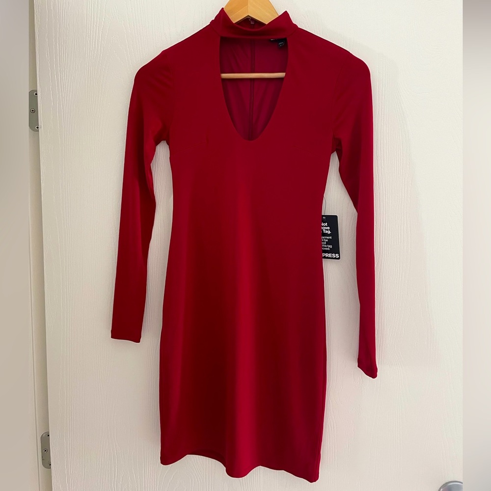 EXPRESS Dress